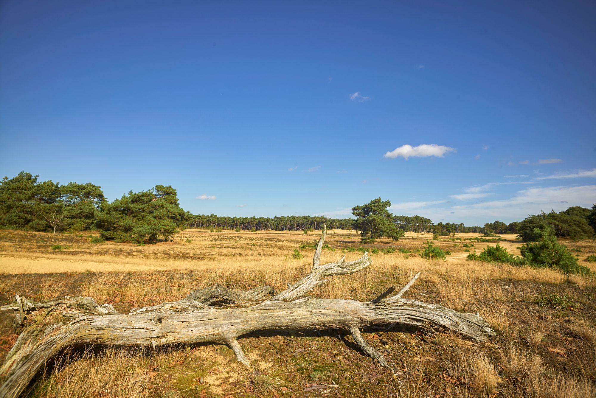 Wekeromse Zand